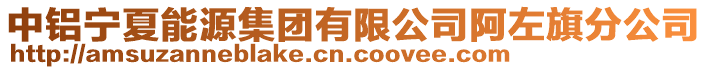 中鋁寧夏能源集團有限公司阿左旗分公司