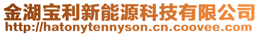 金湖寶利新能源科技有限公司