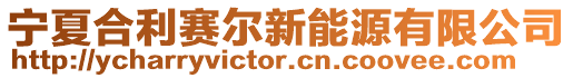 寧夏合利賽爾新能源有限公司