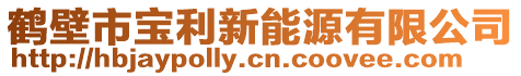 鶴壁市寶利新能源有限公司