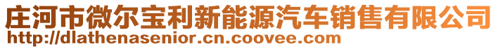 莊河市微爾寶利新能源汽車銷售有限公司
