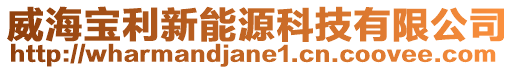 威海寶利新能源科技有限公司