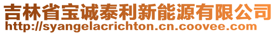 吉林省寶誠泰利新能源有限公司