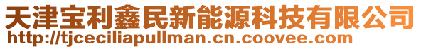天津寶利鑫民新能源科技有限公司