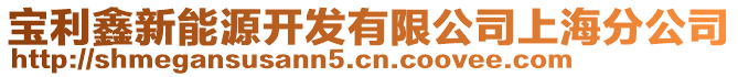 寶利鑫新能源開發有限公司上海分公司