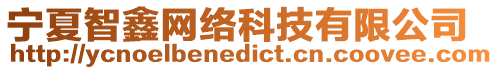 寧夏智鑫網(wǎng)絡(luò)科技有限公司