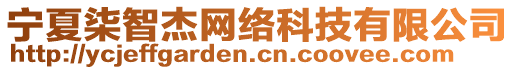寧夏柒智杰網絡科技有限公司