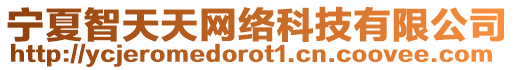 寧夏智天天網(wǎng)絡(luò)科技有限公司