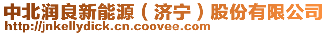 中北潤良新能源(濟寧)股份有限公司