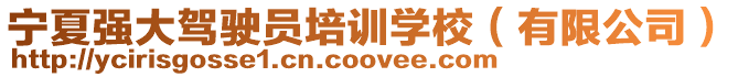 寧夏強大駕駛員培訓學校(有限公司)