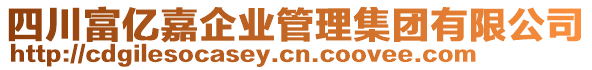 四川富億嘉企業管理集團有限公司