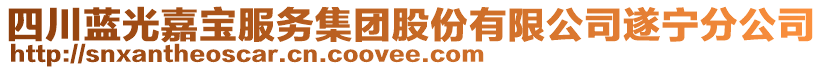 四川藍(lán)光嘉寶服務(wù)集團(tuán)股份有限公司遂寧分公司