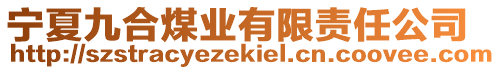 寧夏九合煤業(yè)有限責(zé)任公司