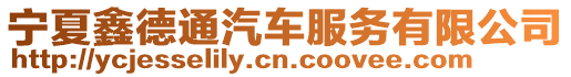 寧夏鑫德通汽車服務有限公司
