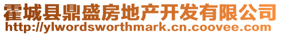 霍城縣鼎盛房地產(chǎn)開發(fā)有限公司