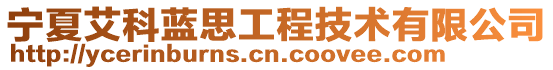 寧夏艾科藍思工程技術有限公司