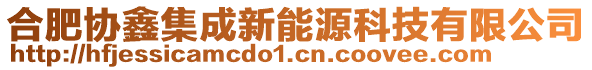 合肥協(xié)鑫集成新能源科技有限公司