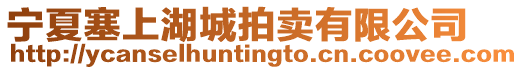 寧夏塞上湖城拍賣有限公司