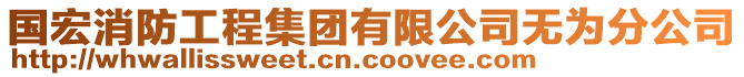 國宏消防工程集團有限公司無為分公司