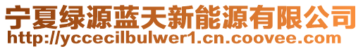 寧夏綠源藍(lán)天新能源有限公司