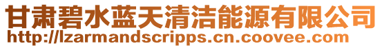 甘肅碧水藍天清潔能源有限公司