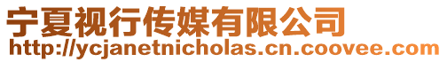 寧夏視行傳媒有限公司