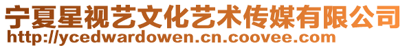 寧夏星視藝文化藝術傳媒有限公司