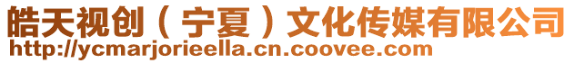 皓天視創(寧夏)文化傳媒有限公司