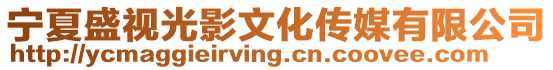 寧夏盛視光影文化傳媒有限公司