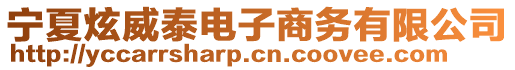 寧夏炫威泰電子商務有限公司