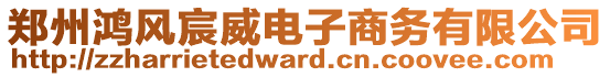 鄭州鴻風(fēng)宸威電子商務(wù)有限公司