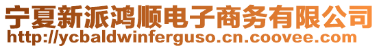寧夏新派鴻順電子商務有限公司