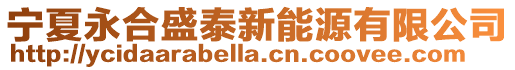 寧夏永合盛泰新能源有限公司