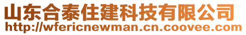 山東合泰住建科技有限公司