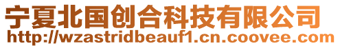 寧夏北國(guó)創(chuàng)合科技有限公司