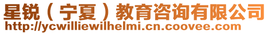 星銳(寧夏)教育咨詢有限公司