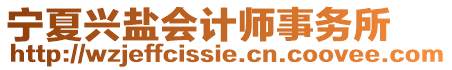 寧夏興鹽會計師事務所