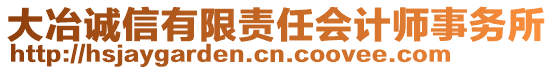 大冶誠信有限責任會計師事務所