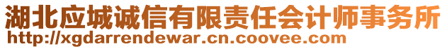 湖北應(yīng)城誠信有限責(zé)任會計師事務(wù)所