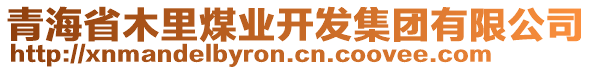 青海省木里煤業(yè)開(kāi)發(fā)集團(tuán)有限公司