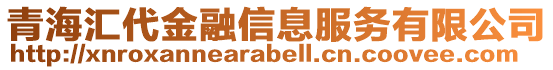 青海匯代金融信息服務(wù)有限公司