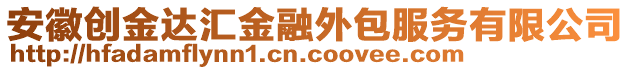 安徽創(chuàng)金達(dá)匯金融外包服務(wù)有限公司