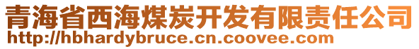 青海省西海煤炭開發(fā)有限責(zé)任公司