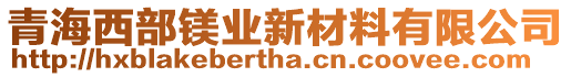 青海西部鎂業(yè)新材料有限公司