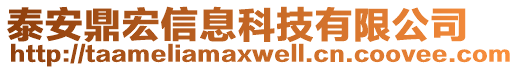 泰安鼎宏信息科技有限公司