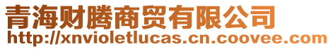 青海財(cái)騰商貿(mào)有限公司