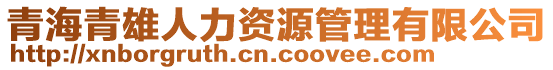 青海青雄人力資源管理有限公司