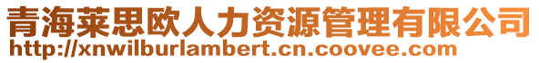 青海萊思?xì)W人力資源管理有限公司