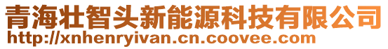 青海壯智頭新能源科技有限公司