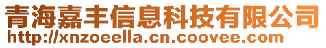 青海嘉豐信息科技有限公司